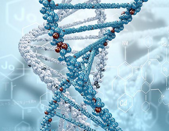 Gregor Mendel Vármegyei Genetikaverseny